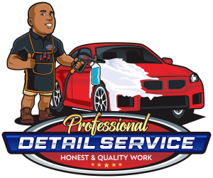 Professional Detail Service Logo WITH BORDER